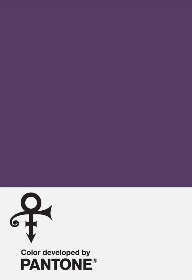 Pantone Prince Purple Color