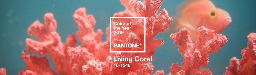 2019 Color of the Year