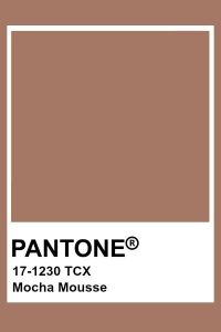 Pantone's 2025 Color of the Year